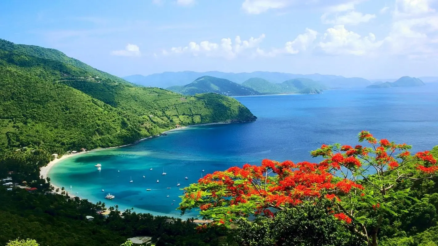 全自动可靠性高标准